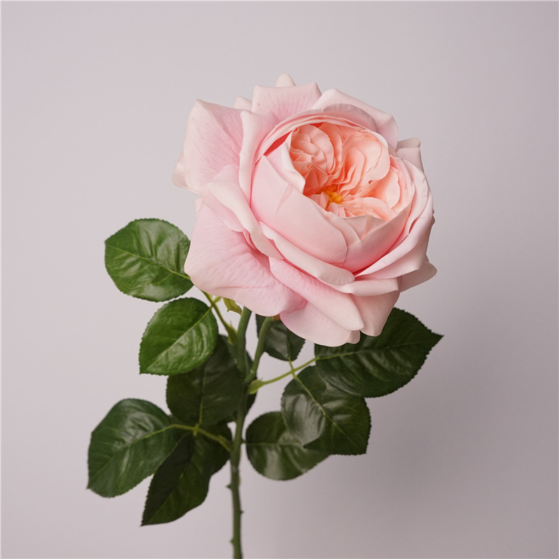 3pcs Moisturizing Rose Simulat - огляд і ціна Photography Lighting Simulation