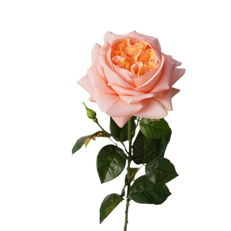 3pcs Moisturizing Rose Simulat - огляд і ціна Photography Lighting Simulation