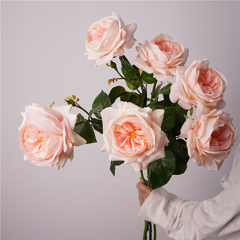 3pcs Moisturizing Rose Simulat - огляд і ціна Photography Lighting Simulation