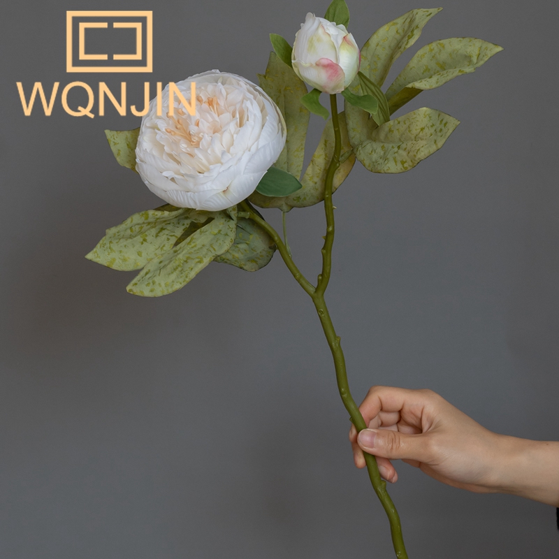 1PC Light Luxury 2-Head Peony  - огляд і ціна Photography Lighting Simulation
