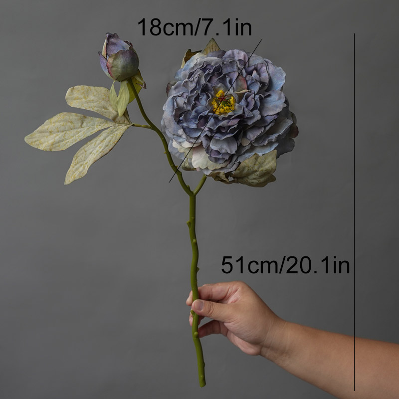 1PC Light Luxury 2 Head Big Pe - огляд і ціна Photography Lighting Simulation