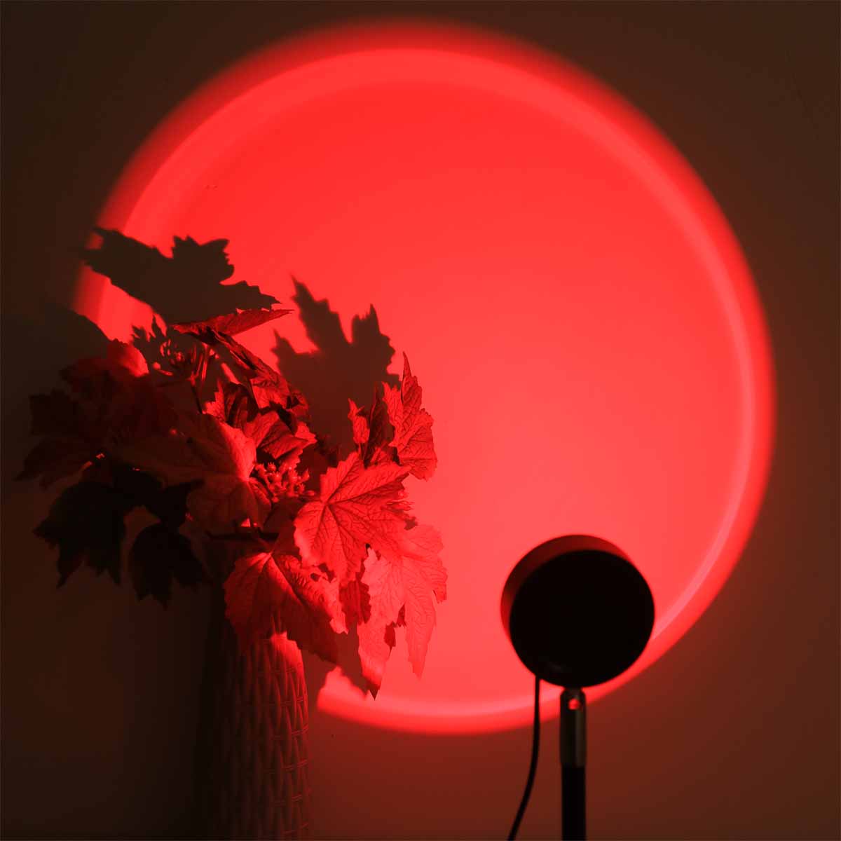Sunset Projection Light Remote - огляд і ціна Photography Lighting Wall