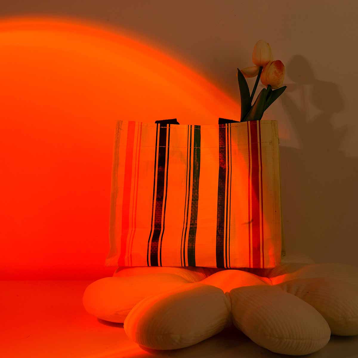 Sunset Projection Light Remote - огляд і ціна Photography Lighting Wall